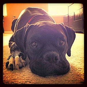 Meet your Posher, Tracy